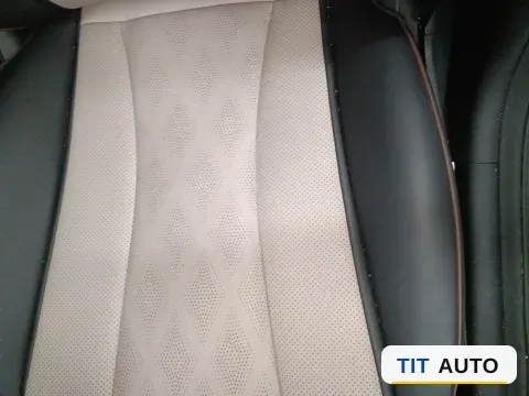 2025 BYD Dolphin 14