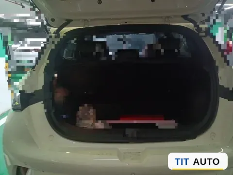 2025 BYD Dolphin 16