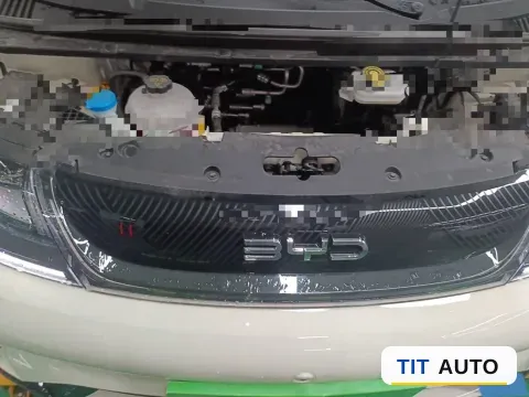 2025 BYD Dolphin 17
