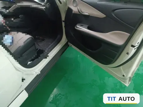 2025 BYD Dolphin 22