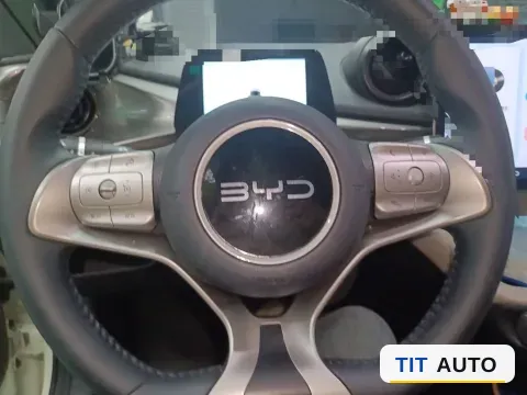 2025 BYD Dolphin 10