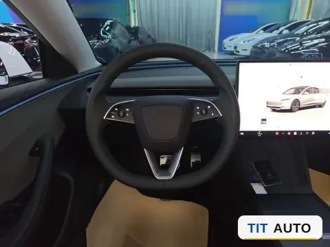 2025 Tesla Model 3 14