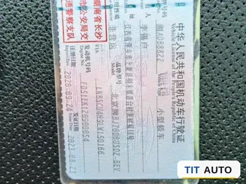2020 BeiJing Auto EX3 14