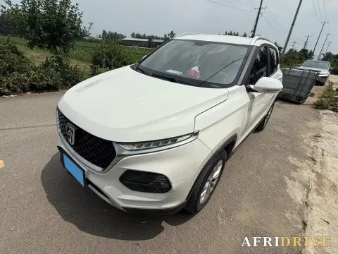 2019 BaoJun 510