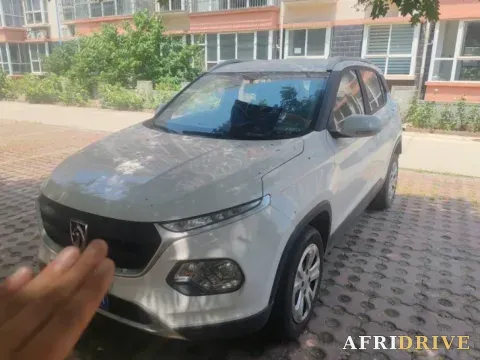 2019 BaoJun 510