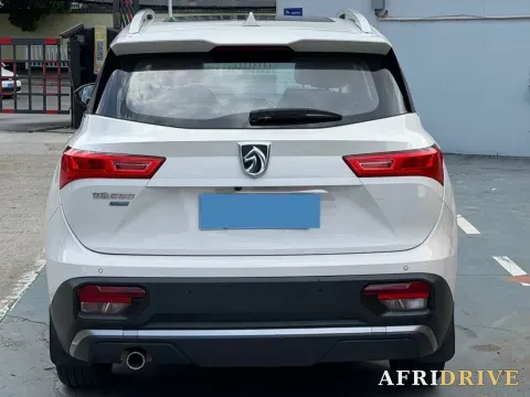 2020 BaoJun 530 8
