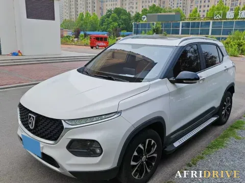 2019 BaoJun 510