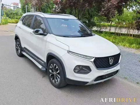2019 BaoJun 510 2