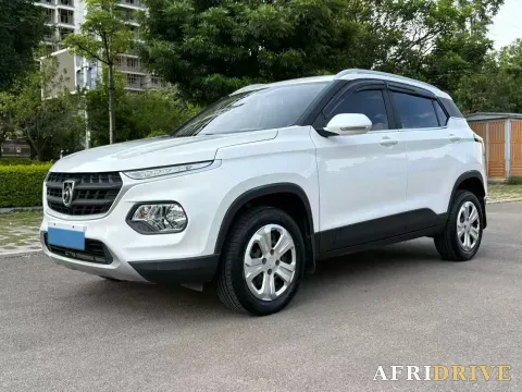 2019 BaoJun 510