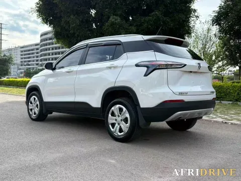 2019 BaoJun 510 7