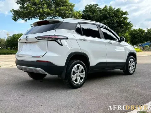2019 BaoJun 510 9