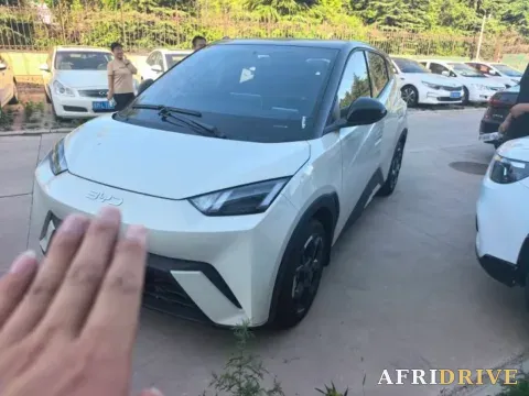 2025 BYD Seagull