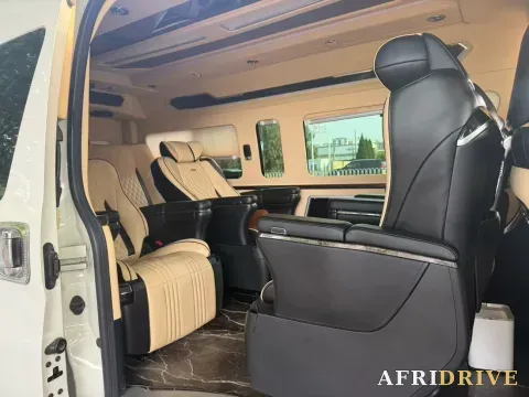 2019 Golden Dragon Sea Lion 9