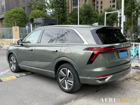 2025 WEY BlueMountain 10