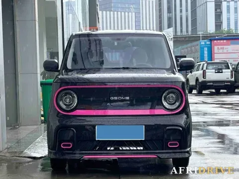 2025 Geely Galaxy Panda 2