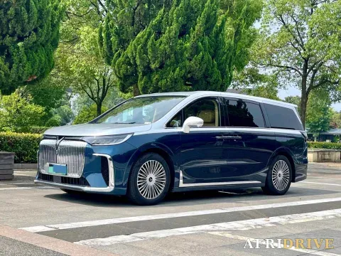 2025 Voyah Dream