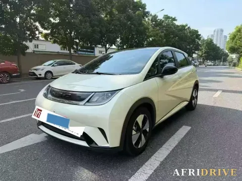 2023 BYD Dolphin