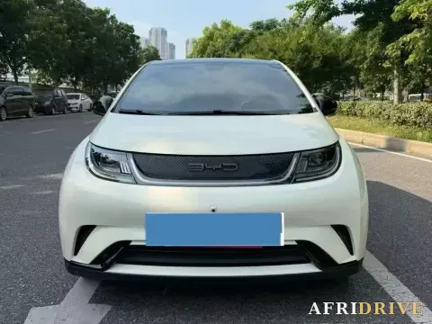 2023 BYD Dolphin 2