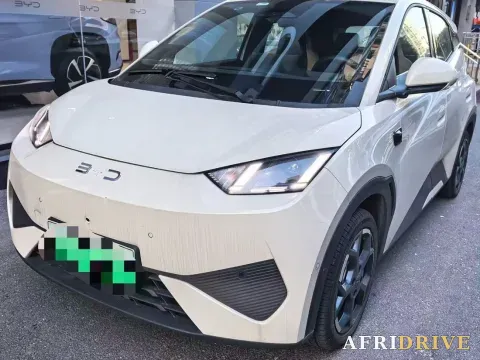 2025 BYD Seagull