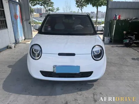 2022 Levdeo Mango 2