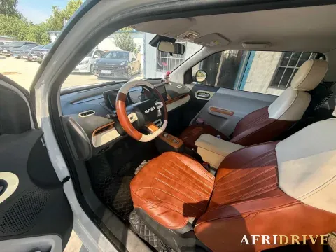 2022 Levdeo Mango 4