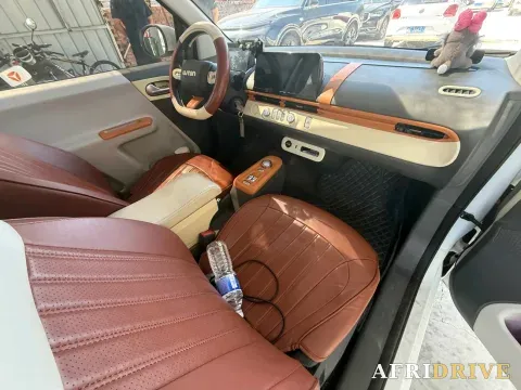 2022 Levdeo Mango 5