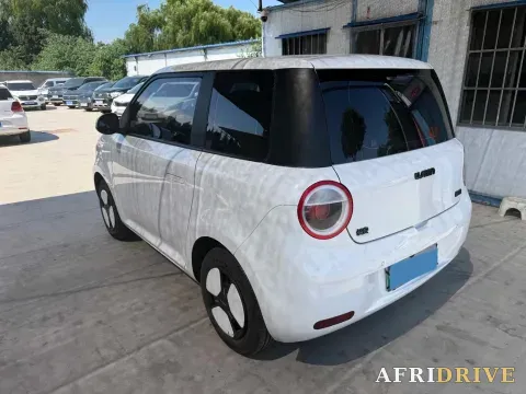 2022 Levdeo Mango 6