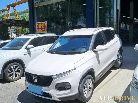 2019 BaoJun 510