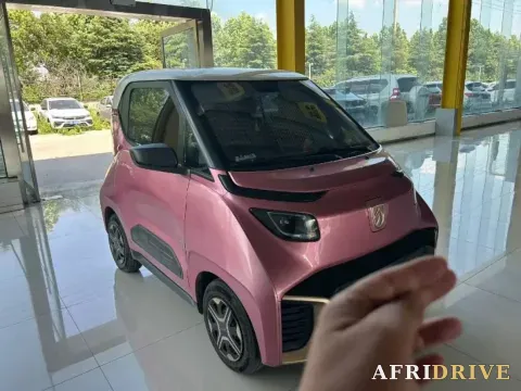 2019 ChangAn Kaicene RuiXing EM80 2