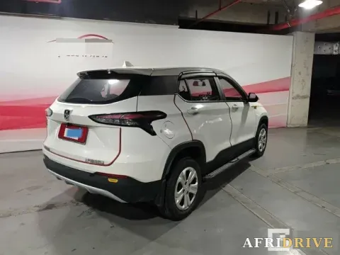 2019 BaoJun 510 2