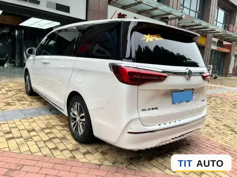 2023 Buick GL8 11