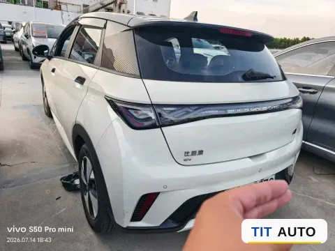 2023 BYD Dolphin 9